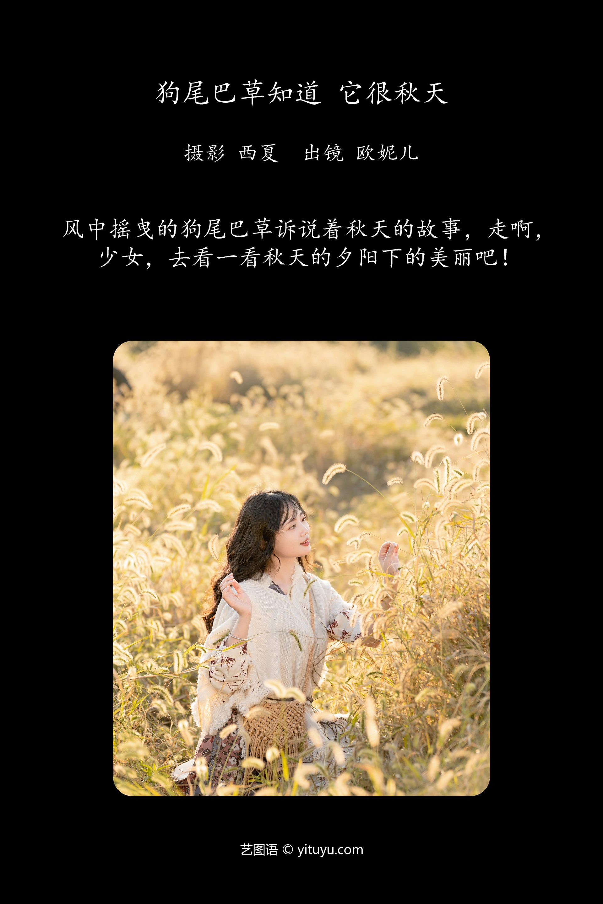 [YITUYU艺图语]2023.11.19 狗尾巴草知道，它很秋天 小欧O 0